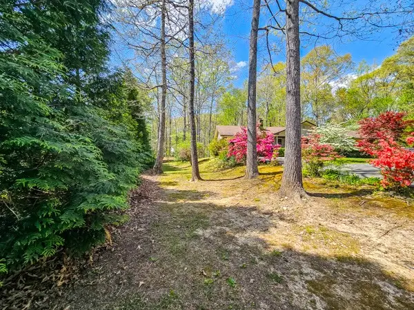 80 Hannah, Ellijay, GA 30540 - #3