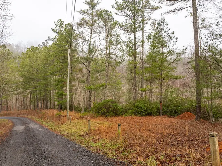 Lot 1742 Meadow Lane, Talking Rock, GA 30175 - #3