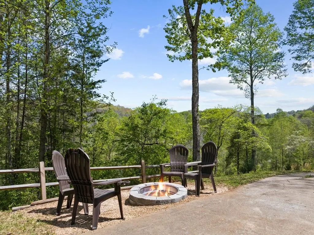 152 Cowboy Way, Mineral Bluff, GA 30559 - #1