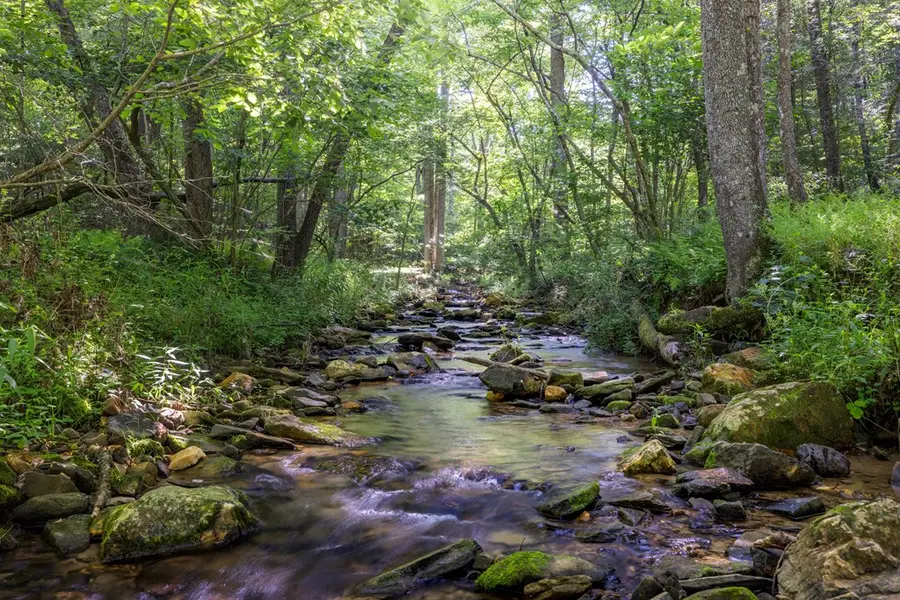 60 Buckeye Branch Road, Morganton, GA 30560 - #3