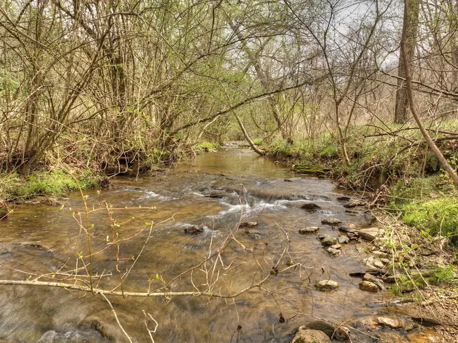 Lt 54-56 Black Gum Ii & Iii, Blue Ridge, GA 30513 - #2