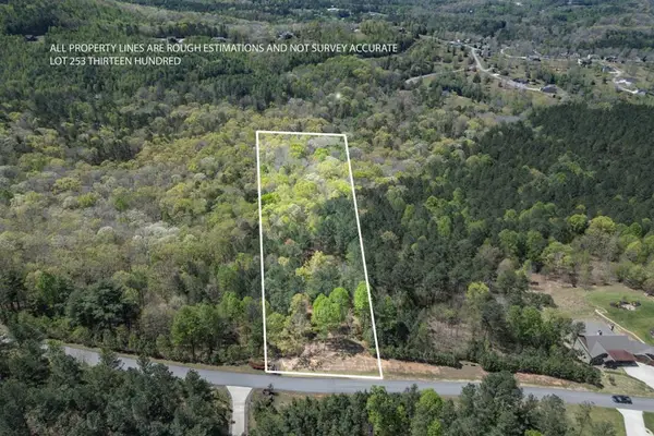 Lot 253 The Cove @ 1300, Blairsville, GA 30512