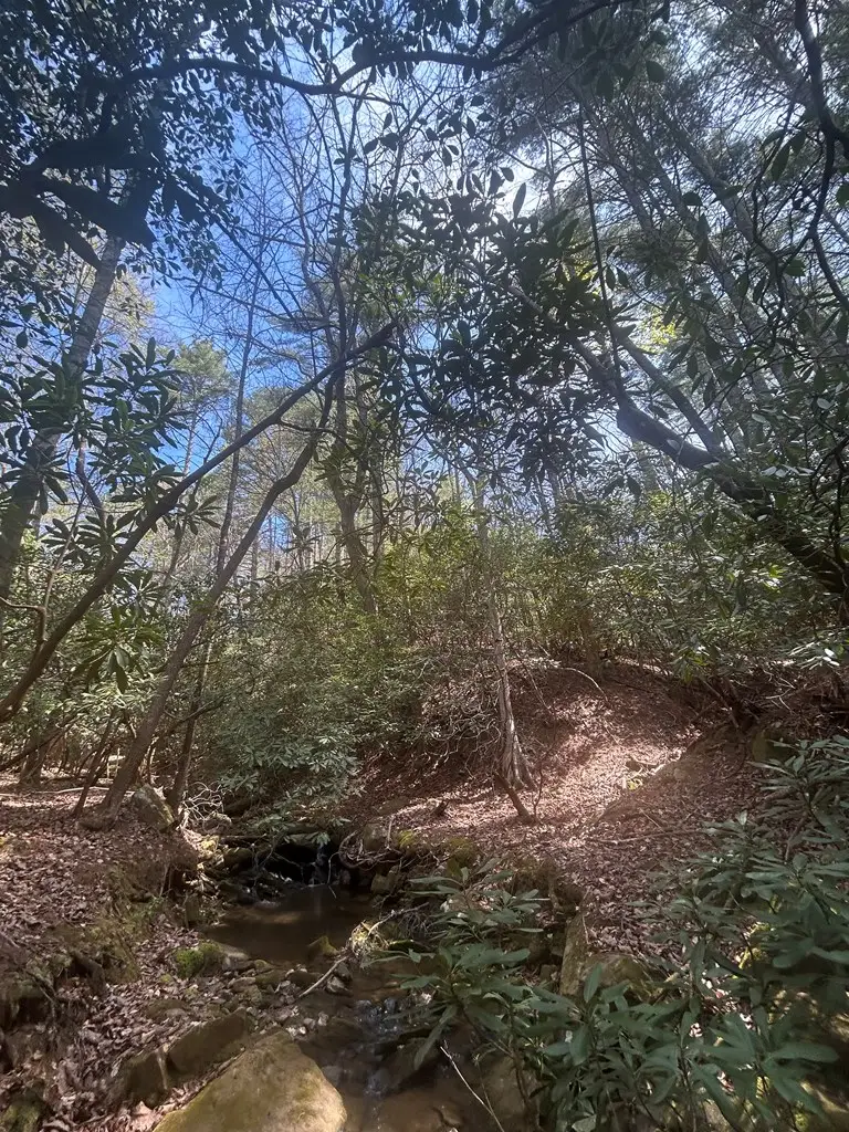 6.56acre Liberty Hill Road, Blairsville, GA 30512 - #2