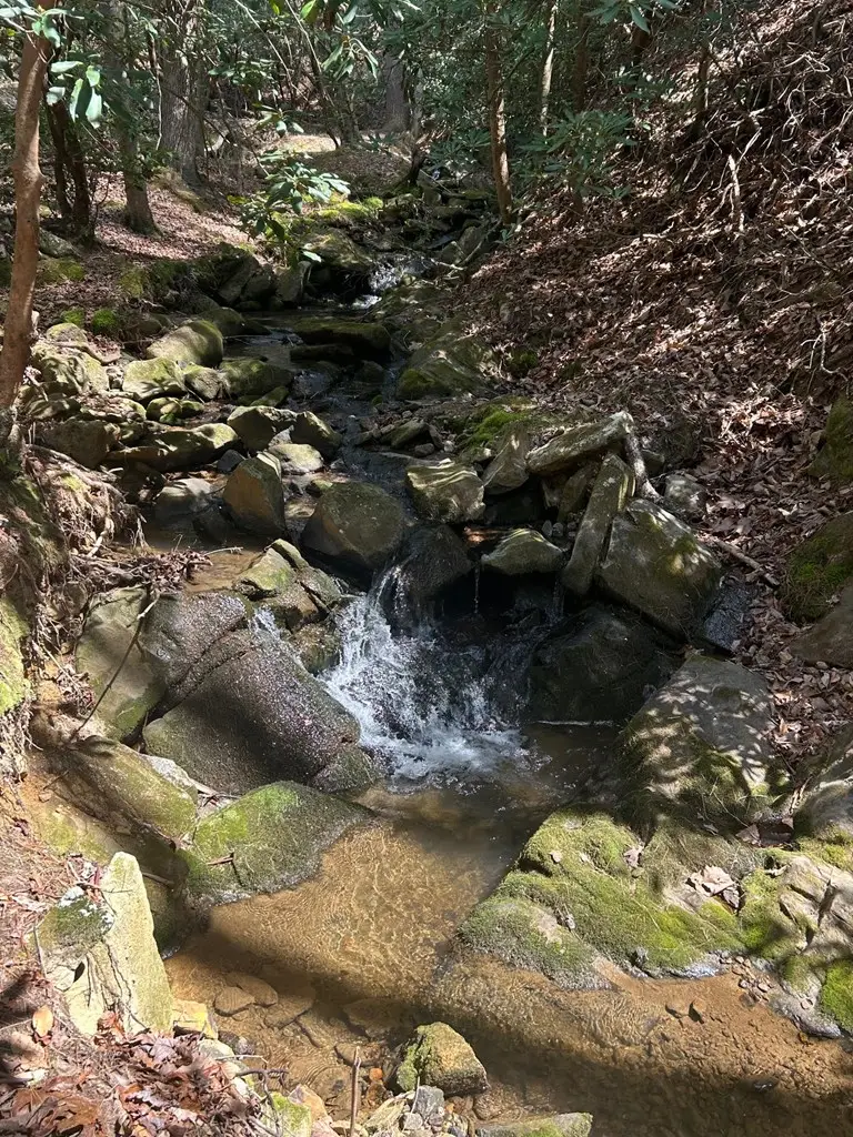 6.56acre Liberty Hill Road, Blairsville, GA 30512 - #3