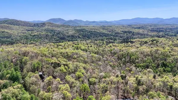 36.78 AC Old Hwy 76, Morganton, GA 30560