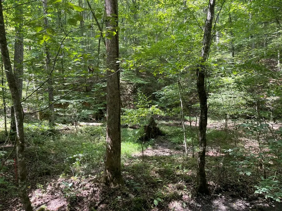LOT 223 Bowline Drive, Ellijay, GA 30540 - #3