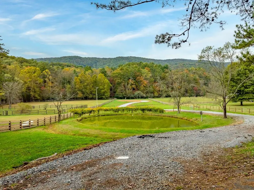 2673 Tails Creek Church Road, Ellijay, GA 30540 - #1