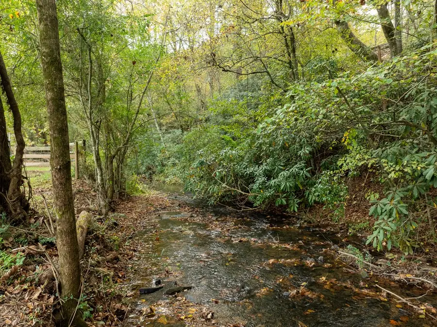 2673 Tails Creek Church Road, Ellijay, GA 30540 - #3