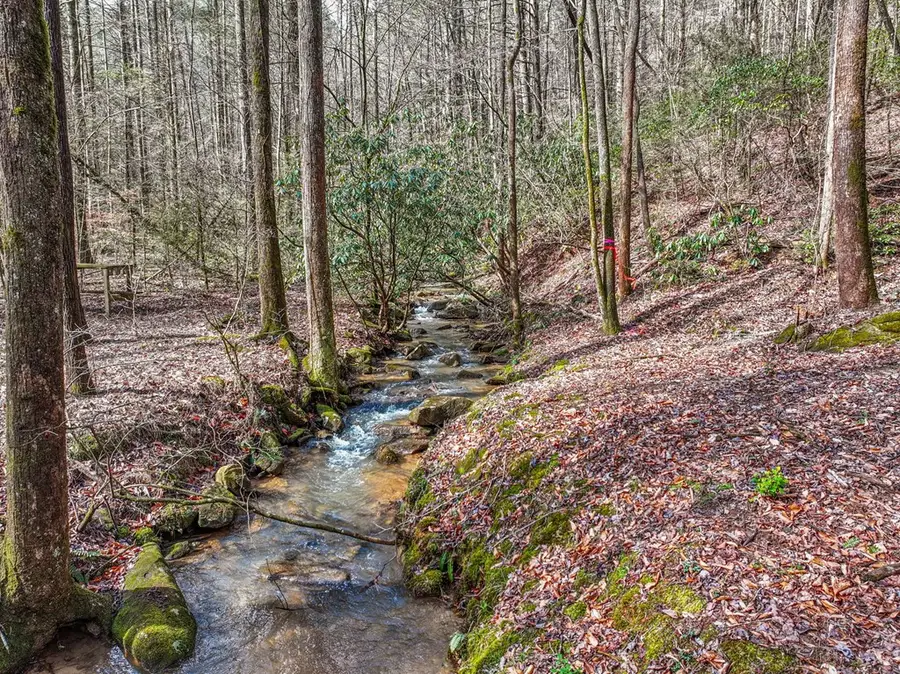 641 Bryant Farm Lane, Ellijay, GA 30540 - #2