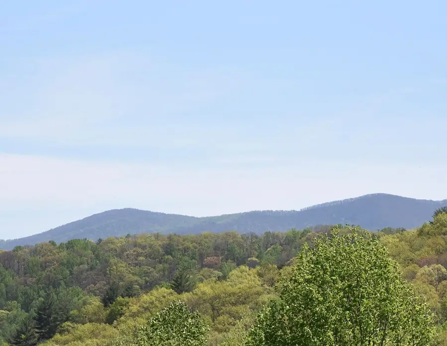 156 Flat Rock Spur, Blairsville, GA 30512 - #3