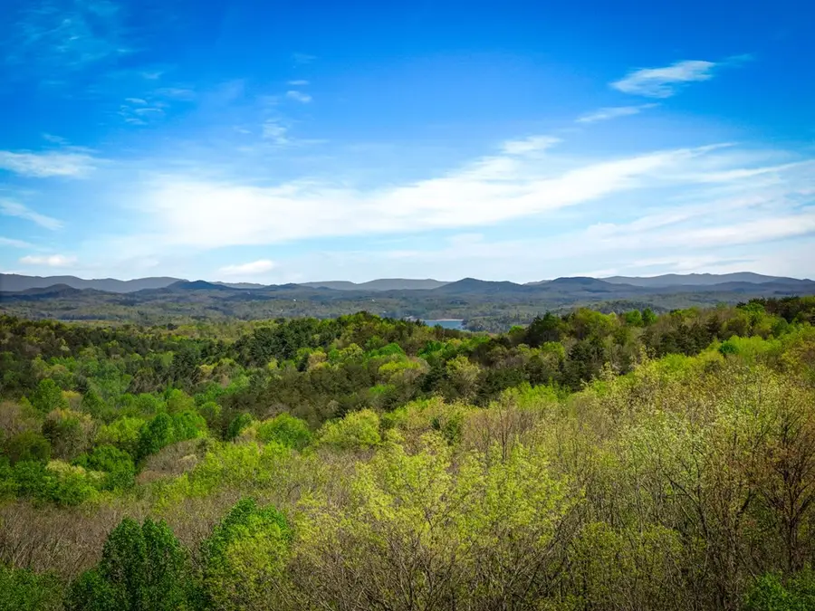 245 Davenport Mountain Road, Blue Ridge, GA 30513 - #2