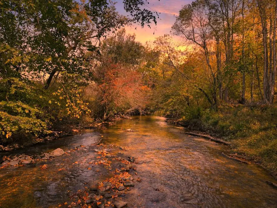 444 Weaver Road, Ellijay, GA 30536 - #3