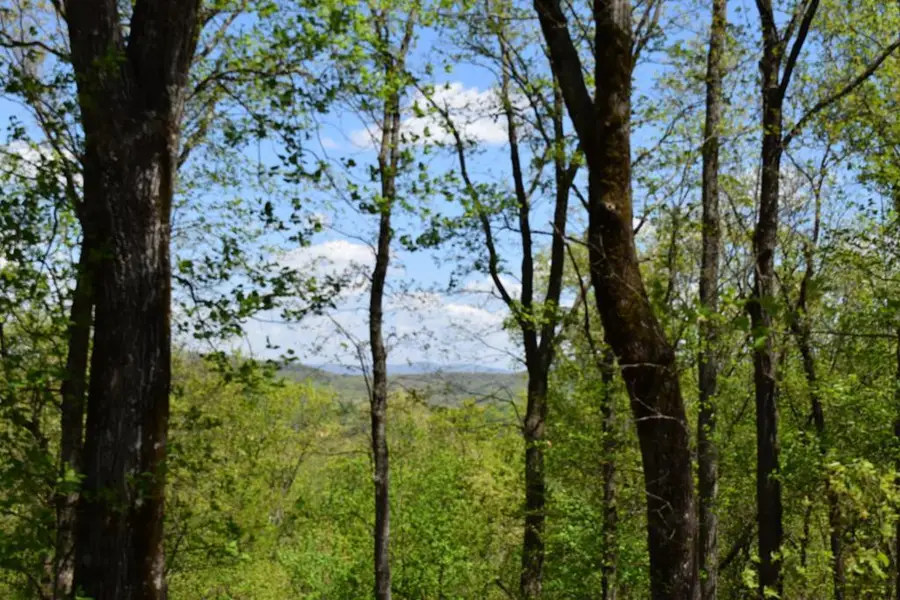 Lot 190 Hawks Nest Court, Ellijay, GA 30536 - #2