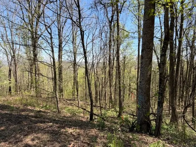 Lot 190 Hawks Nest Court, Ellijay, GA 30536 - #3