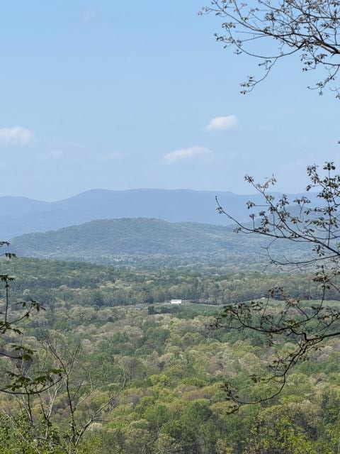 Lot 189 Hawks Nest Court, Ellijay, GA 30536 - #1