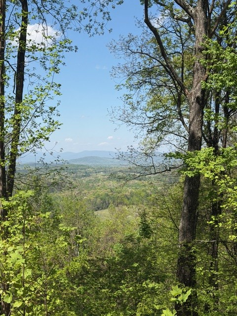 Lot 189 Hawks Nest Court, Ellijay, GA 30536 - #2