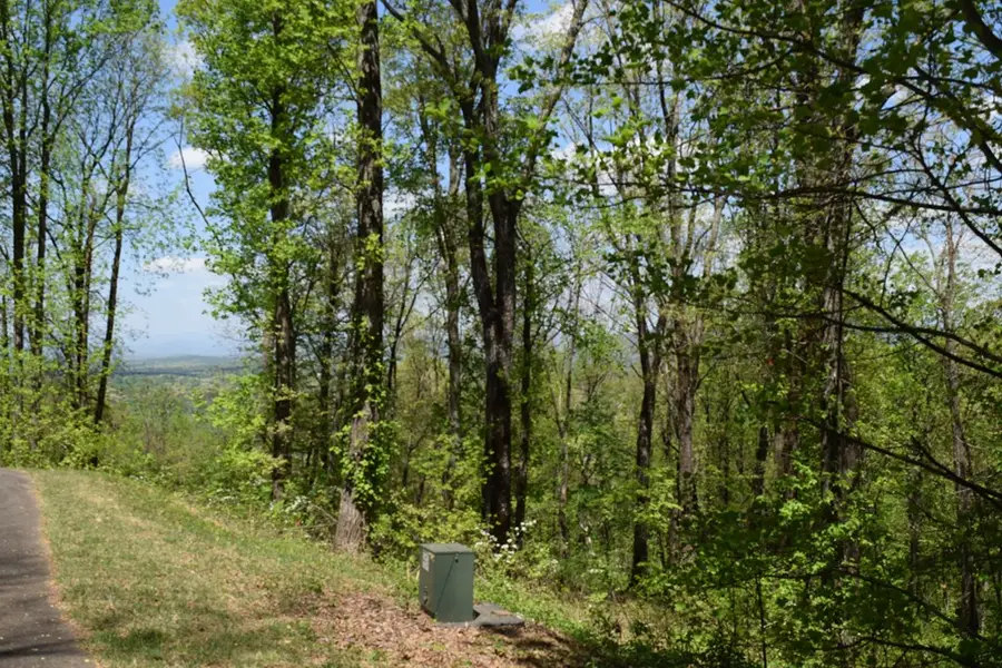 Lot 189 Hawks Nest Court, Ellijay, GA 30536 - #3