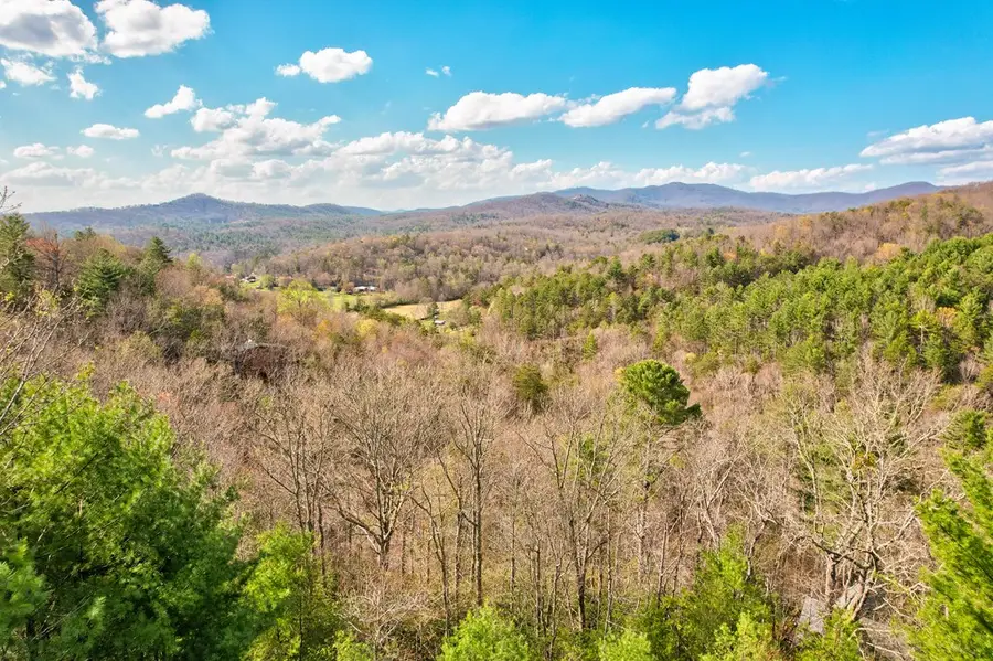425 Rhonda Lane, Mineral Bluff, GA 30559 - #3