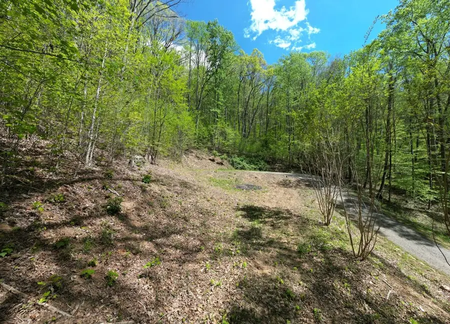 370 Taylor Way, Hiawassee, GA 30546 - #3