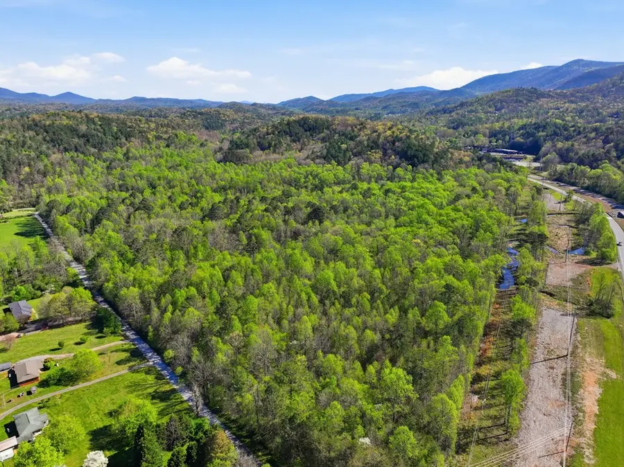123AC Northcutt Rd/hwy 515, Ellijay, GA 30540 - #3