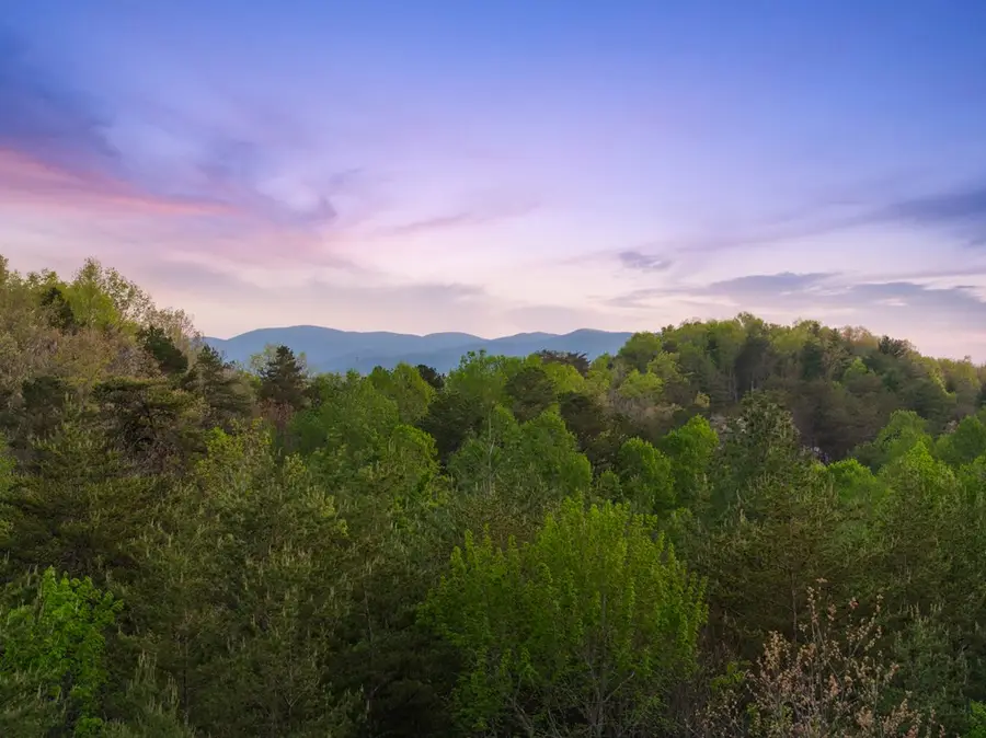 327 Dancing Trees Trail, Morganton, GA 30560 - #3