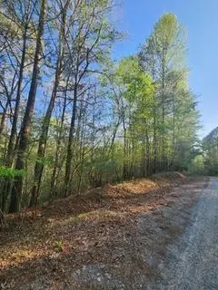 Lt3646-R Fern Drive, Ellijay, GA 30540 - #1