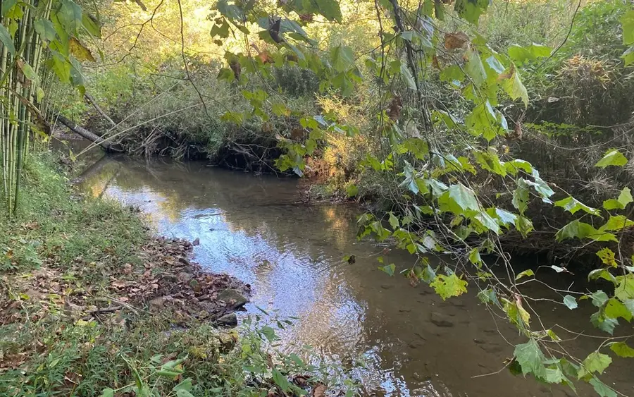 Lt3646-R Fern Drive, Ellijay, GA 30540 - #2