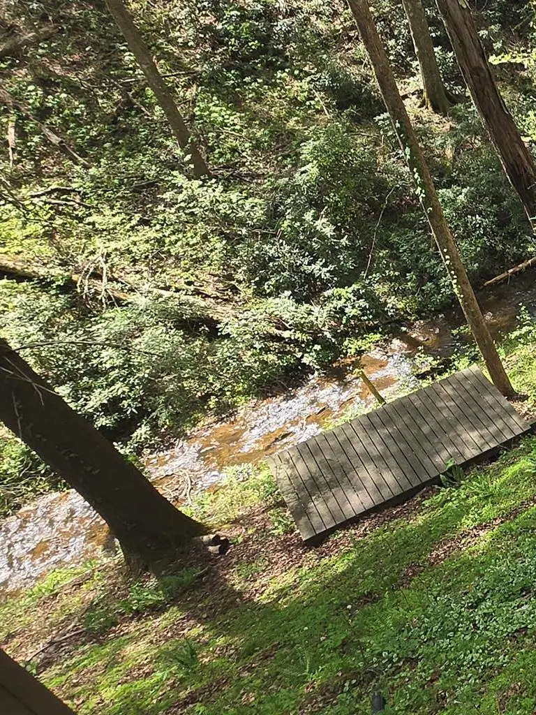 180 Down Under Road, Blue Ridge, GA 30513 - #2