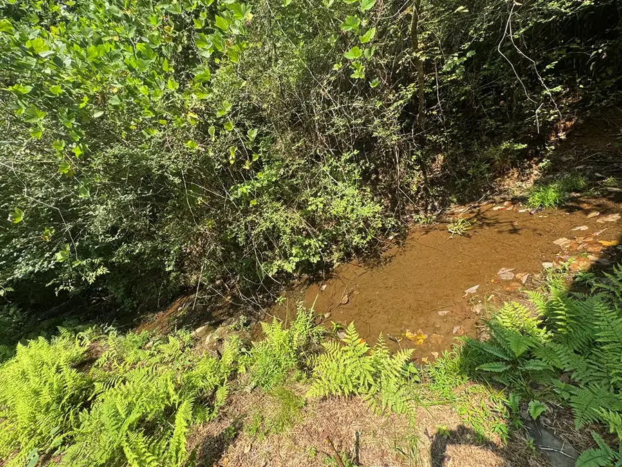 81 Doxol Street, Blue Ridge, GA 30513 - #3