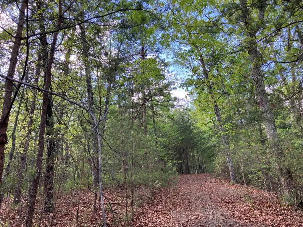 LT24 Mission Ridge Court, Hayesville, NC 28904 - #1