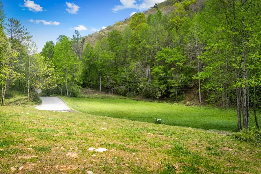 891 Bushy Head Road, Cherry Log, GA 30522 - #2