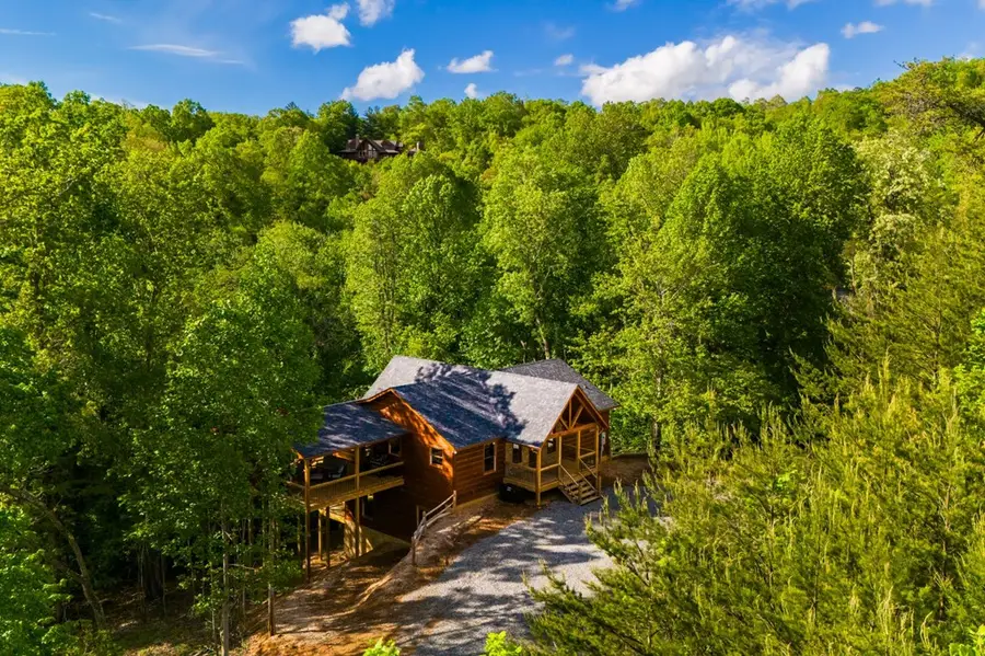 66 Ross Drive, Mineral Bluff, GA 30559 - #2