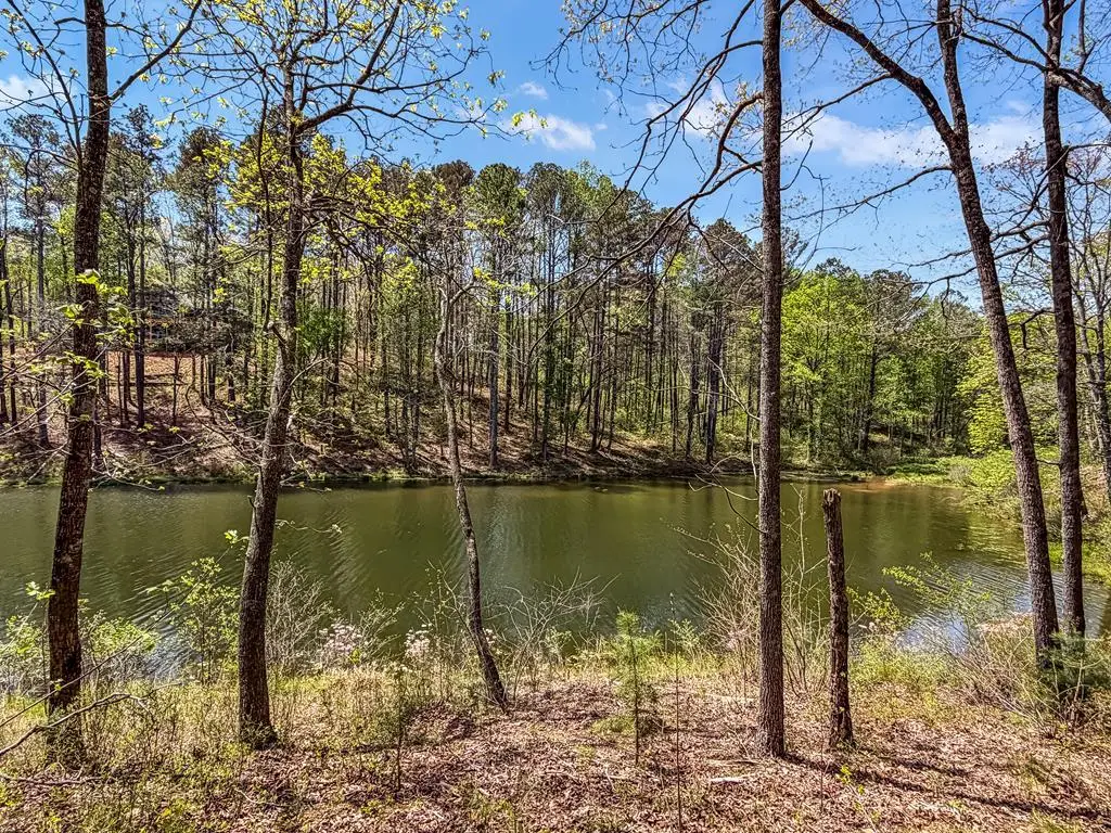 177R Overlook Way, Ellijay, GA 30536 - #1