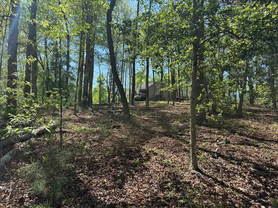 0 Windfield Circle, Blue Ridge, GA 30513 - #2