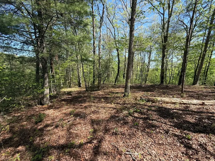 0 Windfield Circle, Blue Ridge, GA 30513 - #3