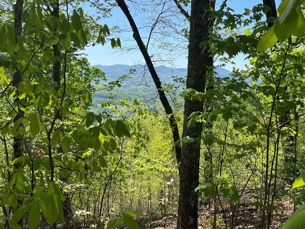 Lot 11J Ash Branch View, Hayesville, NC 28904