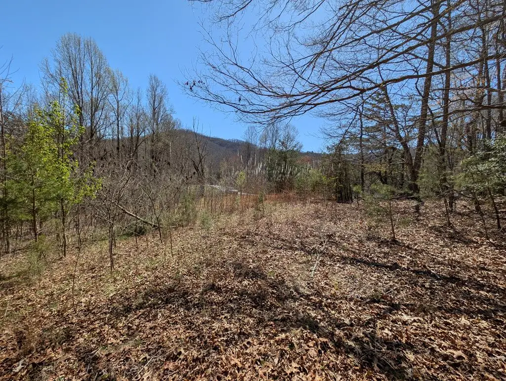 Lot 108 Smoke Rise, Hayesville, NC 28904 - #1