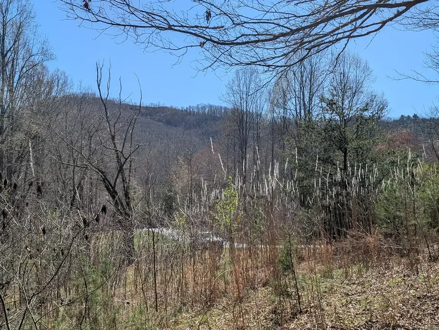 Lot 108 Smoke Rise, Hayesville, NC 28904 - #2