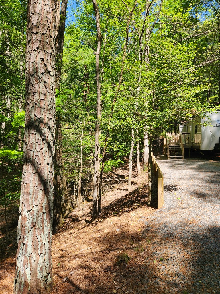 257 20th Street, Ellijay, GA 30540 - #3