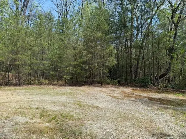 Lot 5 Marjorie Avenue, Ellijay, GA 30536 - #1
