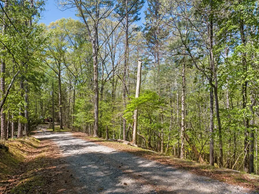 Lot 560 Chattle Way, Ellijay, GA 30540 - #3
