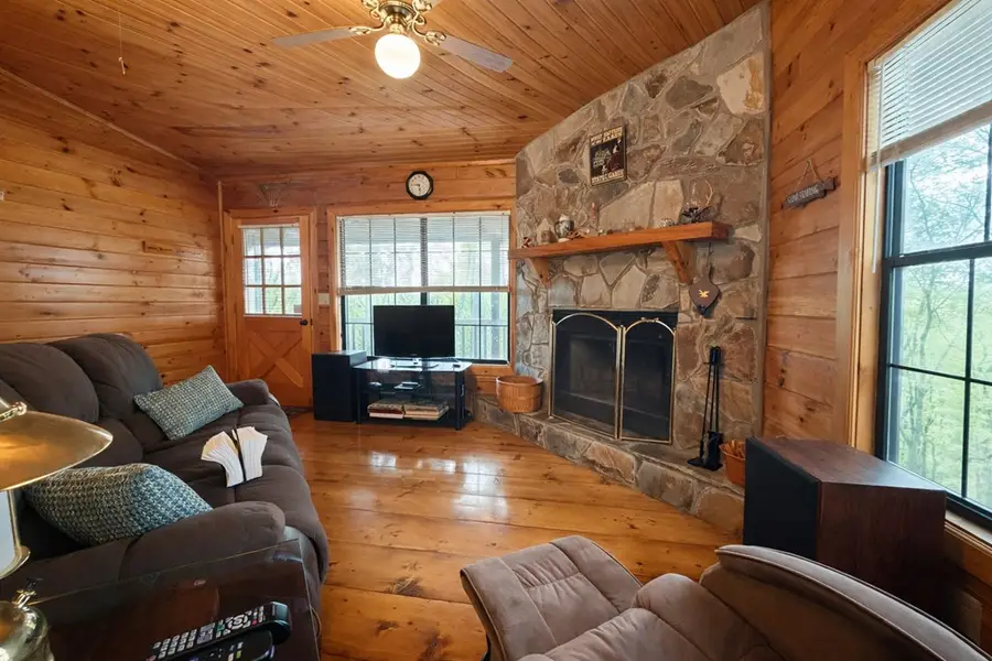 660 Ripshin Mountain Road, Blue Ridge, GA 30513 - #2