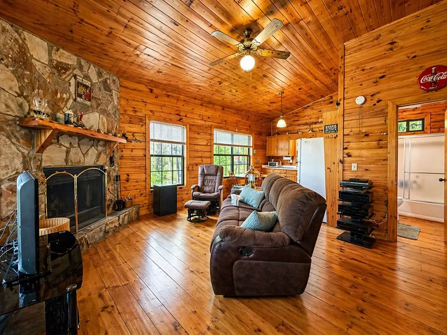 660 Ripshin Mountain Road, Blue Ridge, GA 30513 - #3