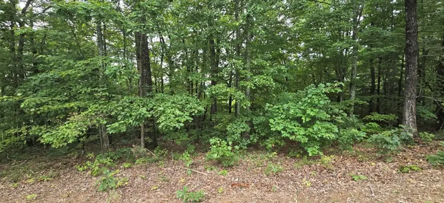 102 Badger Road, Blairsville, GA 30512 - #3