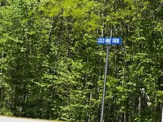 Lot 68 Bowers Road, Blairsville, GA 30512 - #2