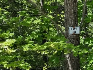 Lot 68 Bowers Road, Blairsville, GA 30512 - #3