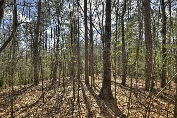 Lot 1 Chestnut Gap Road, Blue Ridge, GA 30513