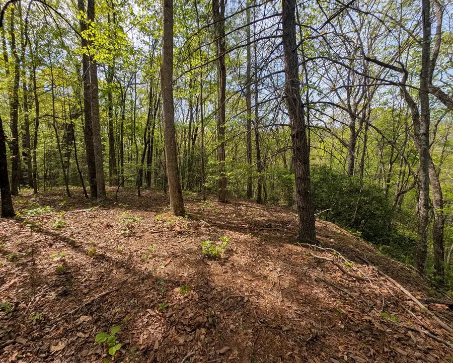 348 Atali Circle, Murphy, NC 20906 - #2