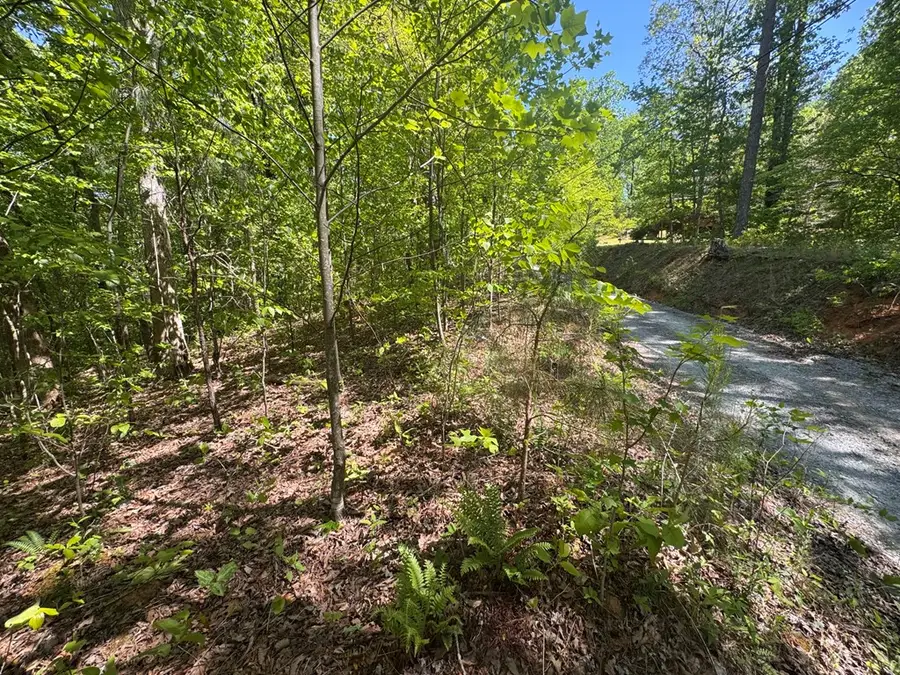 2.42 AC Poplar Drive N, Jasper, GA 30143 - #2