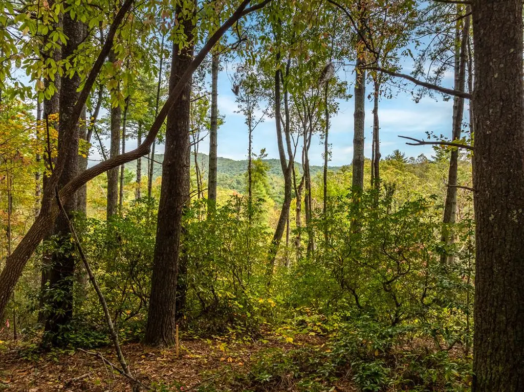 Lot 1 Chief Whitetails Road, Ellijay, GA 30540 - #1